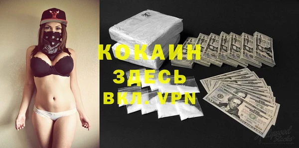хмурый Нея