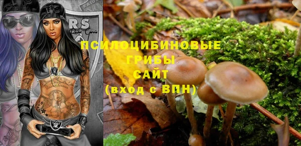 apvp Новокубанск