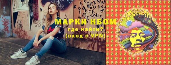 хмурый Нея