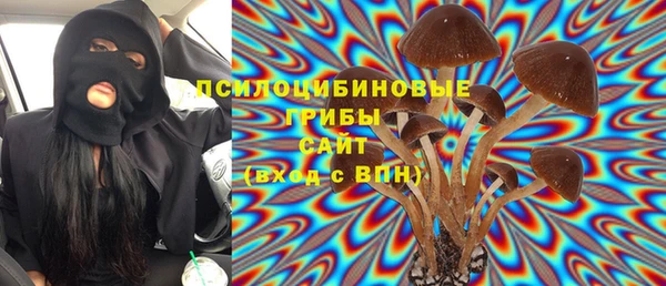 соль ск Новодвинск