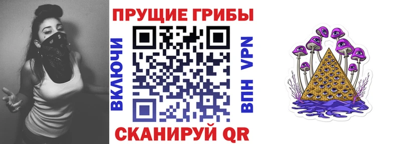 Псилоцибиновые грибы GOLDEN TEACHER  где найти наркотики  Приволжский 